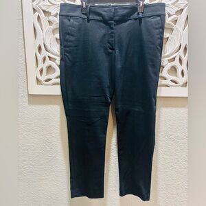 LOFT Outlet Curvy Skinny Ankle Black Dress Pants